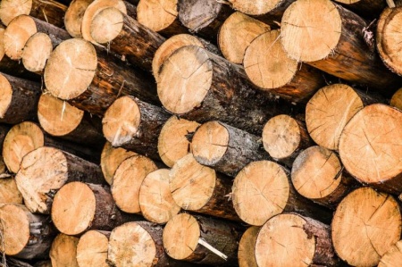 Fourniture de bois de montagne, un choix durable et responsable